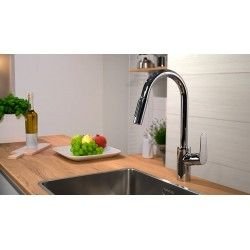 Hansgrohe Hansgrohe Focus M41 - Spültisch Einhebelmischer 240 mit ausziehbarer Geschirrbrause, Edelstahl 31815800